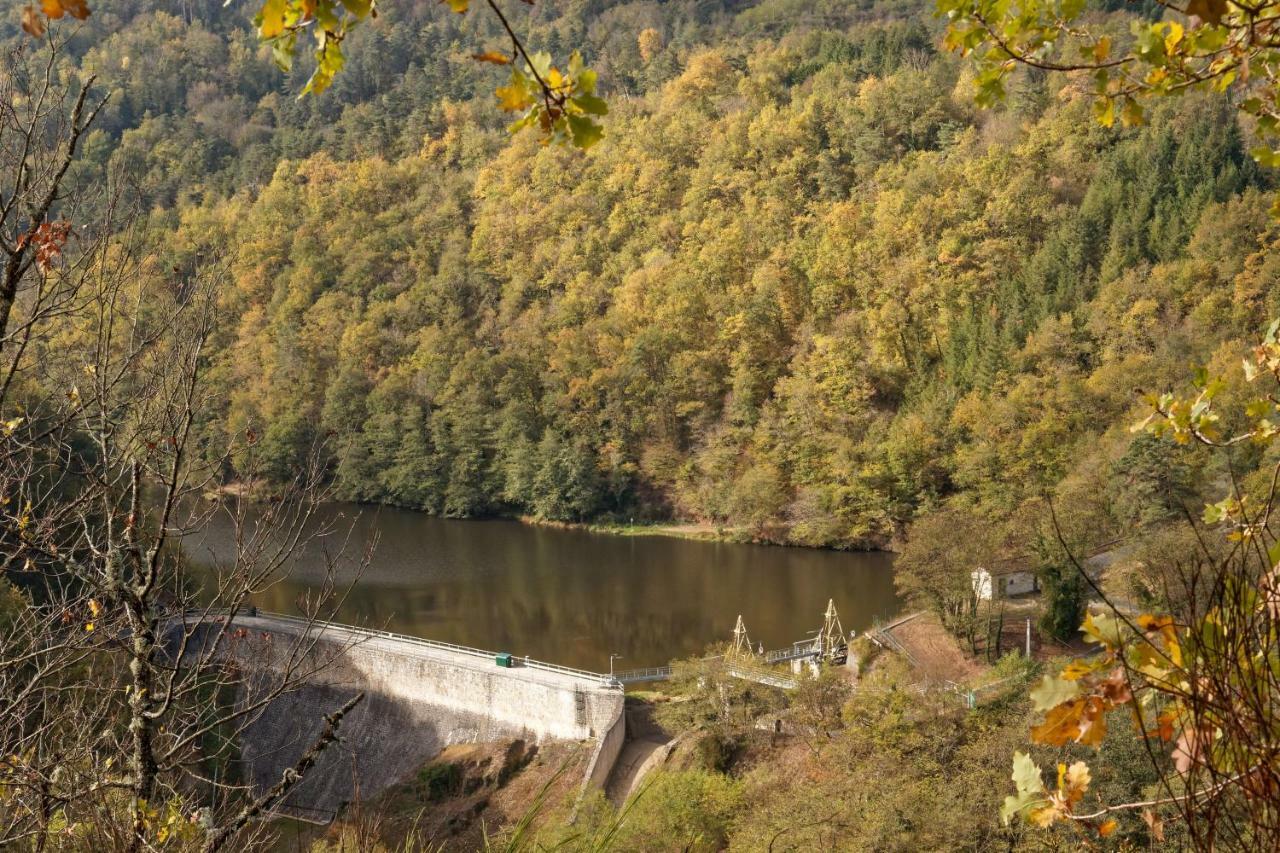 Gite De Sauviat 25 Chemin Du Grand Pacher Le Bourg De Sauviat 63120 Dış mekan fotoğraf